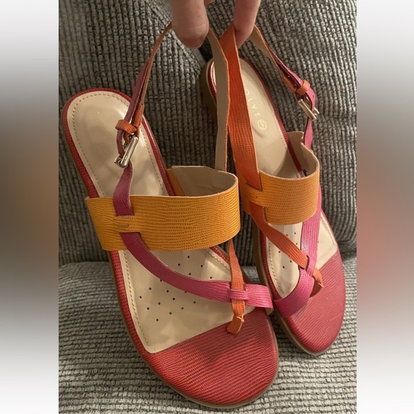 EVOLVE 24/7 Pink Red Orange Women’s 8 Thong Strappy Buckle Sandals shoes EVAVAH - Picture 11 of 14